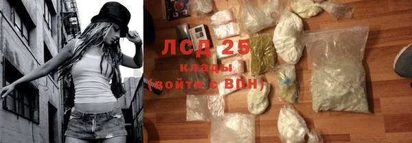 шишки Абаза