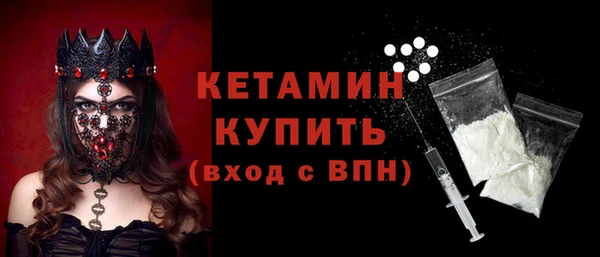 шишки Абаза
