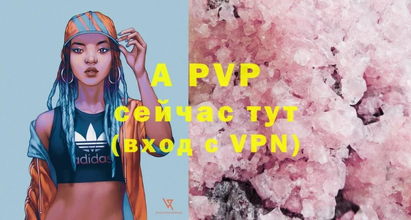 шишки Абаза