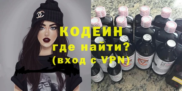 шишки Абаза