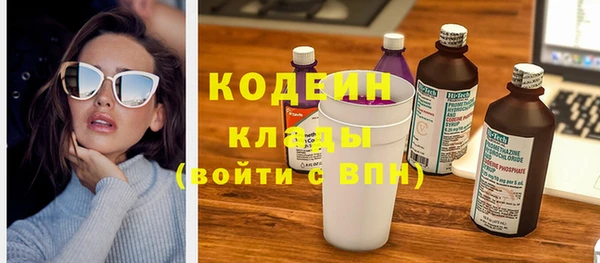шишки Абаза