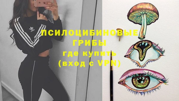 шишки Абаза