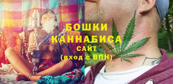 молекула духа Аша
